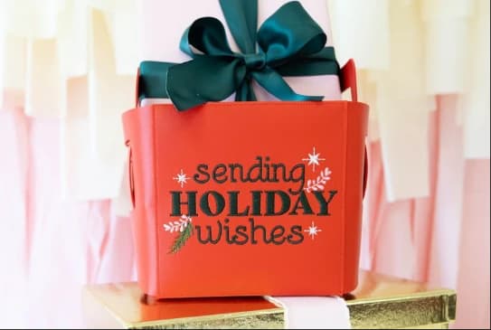 FOLDING STORAGE TOTE BLANK, RED