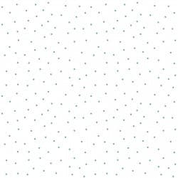 Kimberbell Basics Tiny Dots — White on Teal