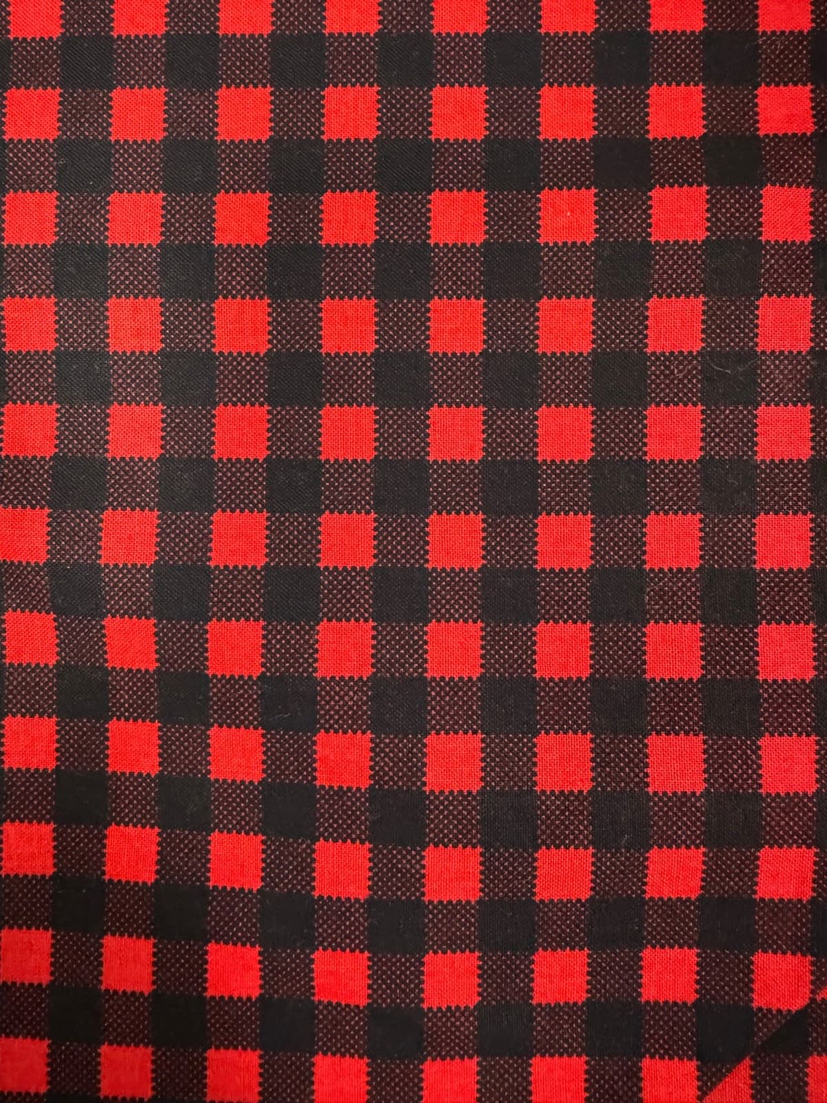 Riley Blake Wild at Heart Buffalo Plaid Red
