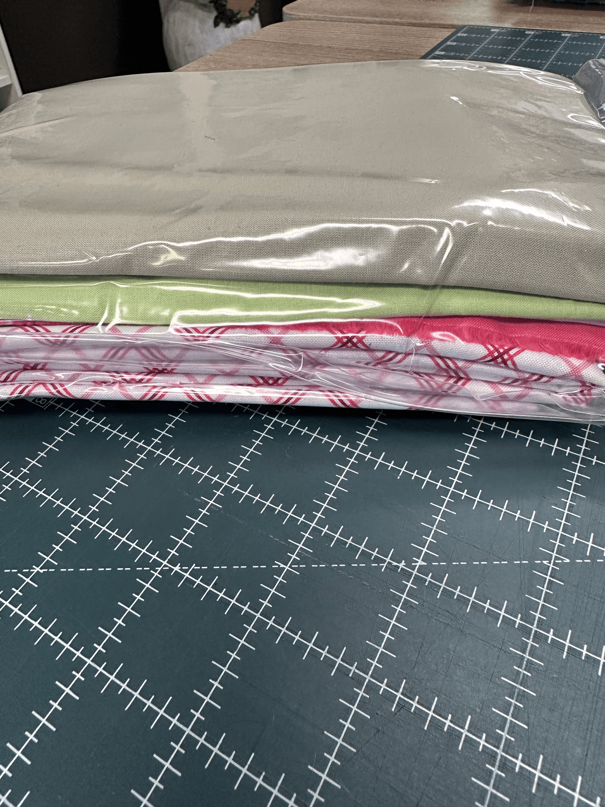 Mistletoe Mystery Fabric Kit DDE 2026 — image 3