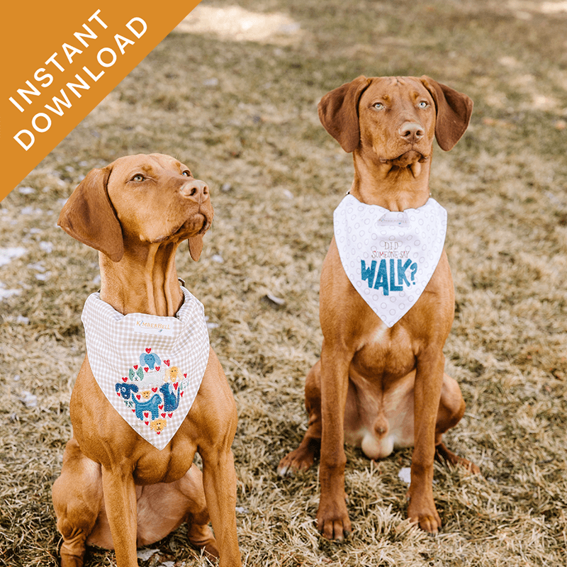 Playful Pet Kerchiefs