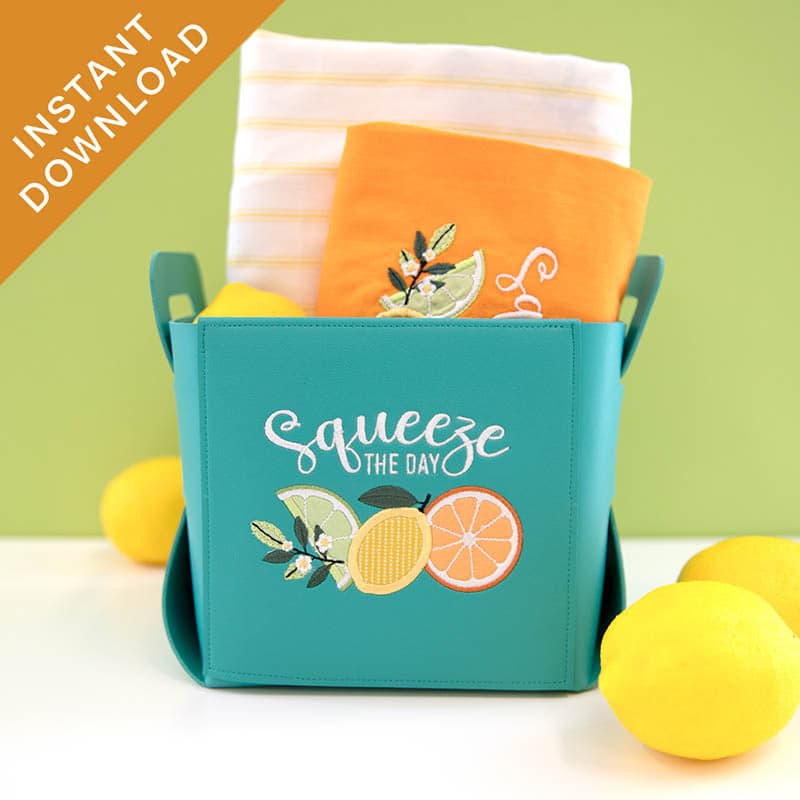 Squeeze The Day