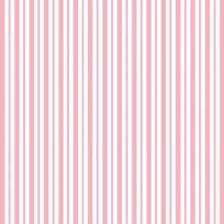 Mini Awning Stripe — Pink