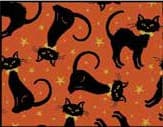 Midnight Spell — Tossed Cats