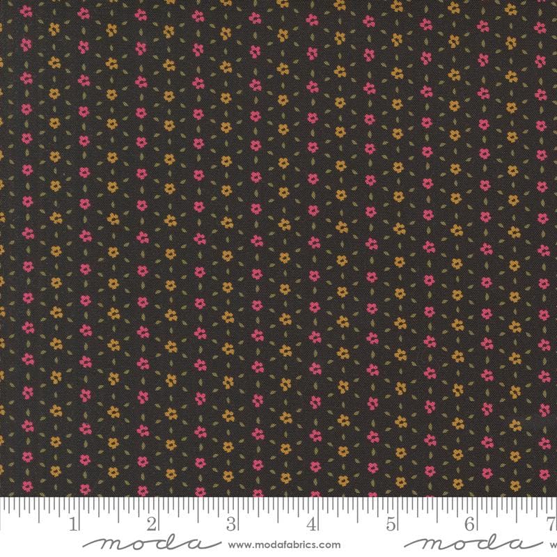 Moda Sagewood — Seedling