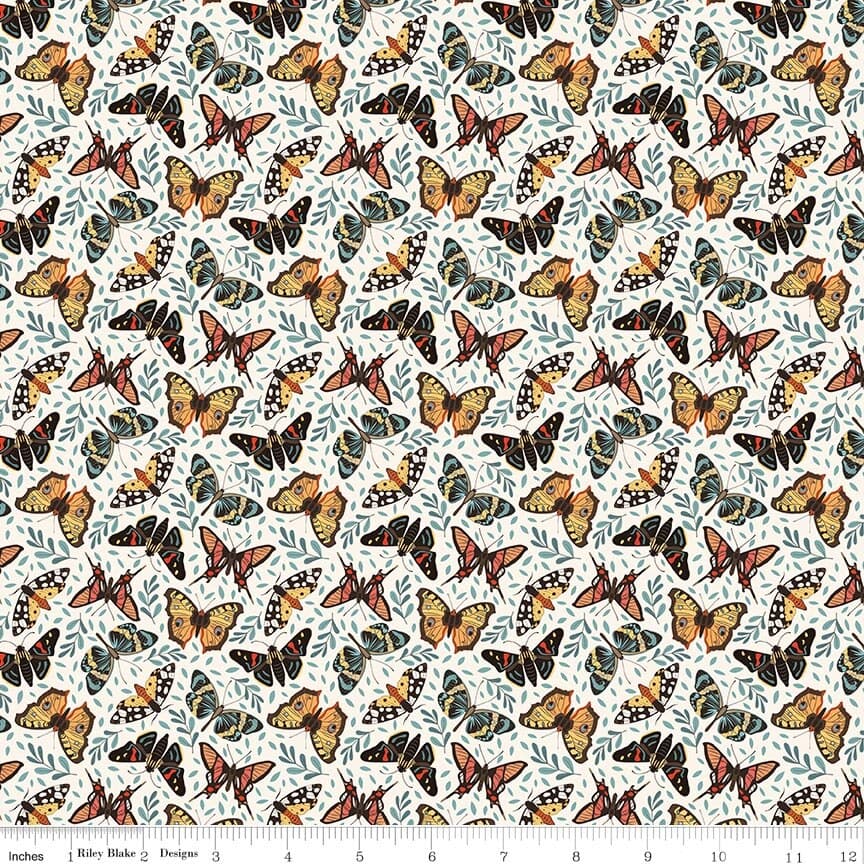 Secret Garden Moths — Cloud