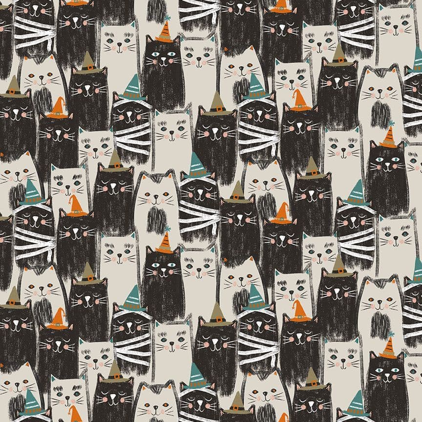 Spooky Kitty — Packed Spooky Kitty